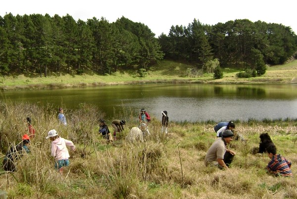 Improving Kaipara's Natural Envirionment